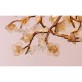 DV3953 Almond